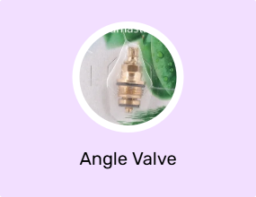 Angle Valve