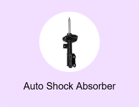 Auto Shock Absorber