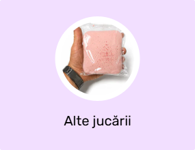 Alte jucării