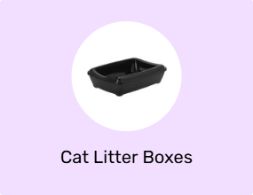 Cat Litter Boxes