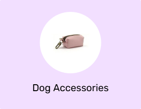 Dog Accessories