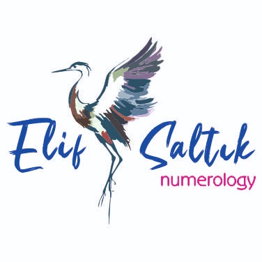 Elif Saltık Numeroloji