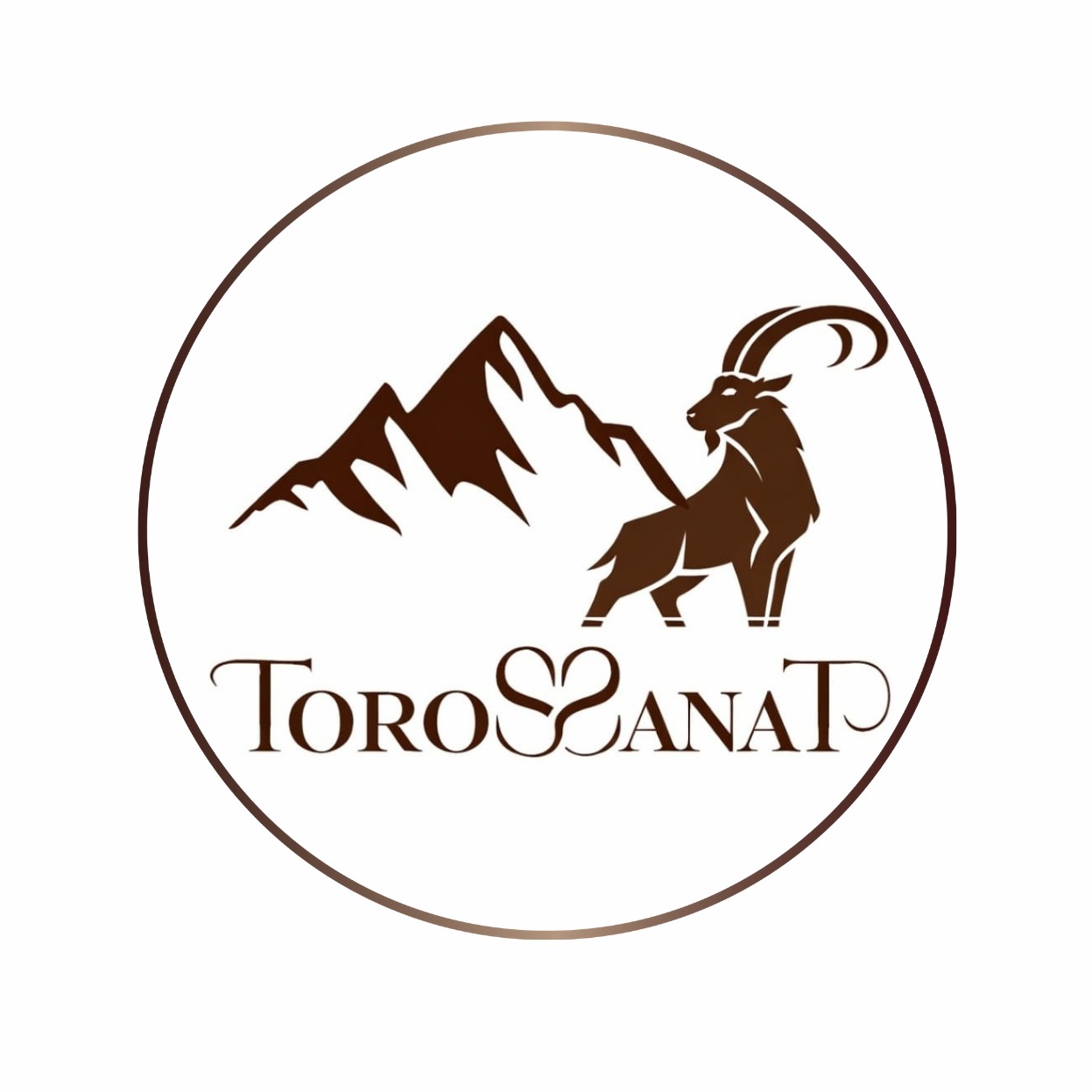 Toros Sanat