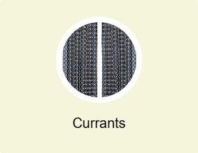 Currants