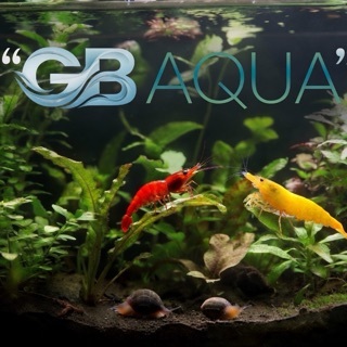 GB AQUA