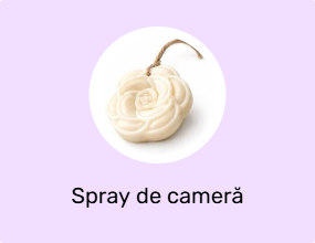 Spray de cameră