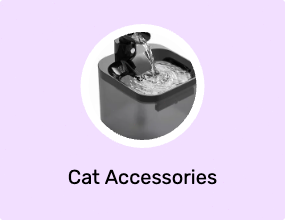 Cat Accessories