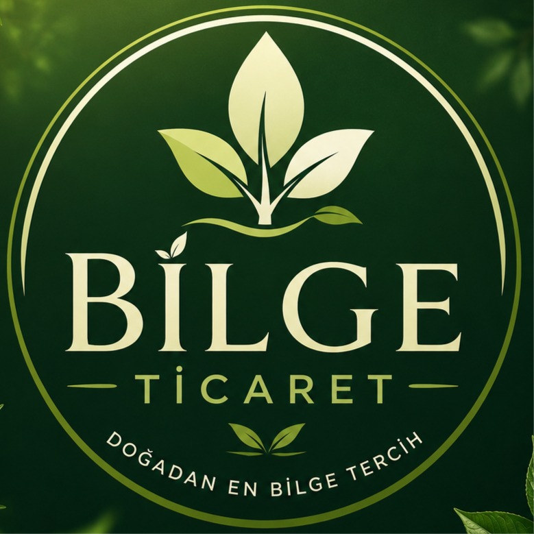 Bilge Ticaret Art
