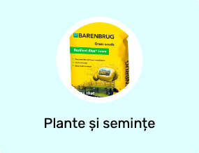 Plante și semințe