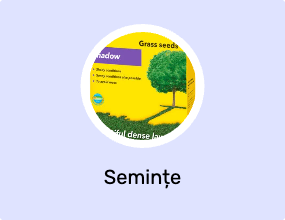 Semințe