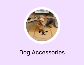 Dog Accessories