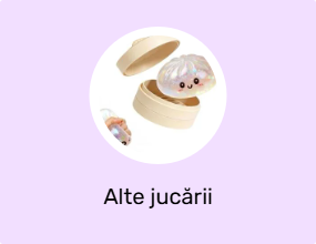Alte jucării