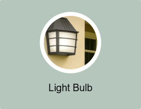 Light Bulb