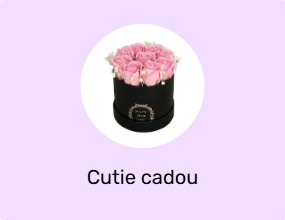 Cutie cadou