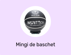 Baschet Inteligent