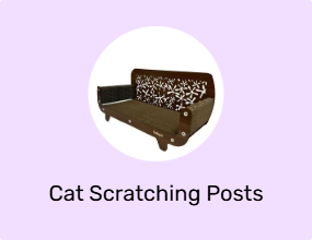 Cat Scratching Posts