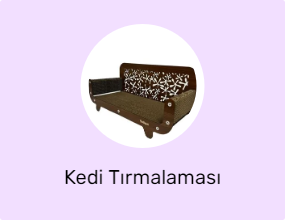 Kedi Tırmalaması