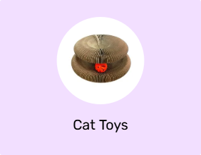 Cat Toys