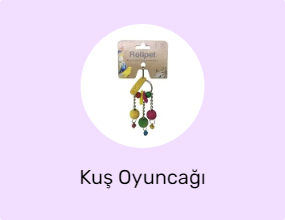 Kuş Oyuncağı