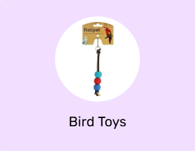Bird Toys