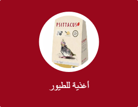 أغذية للطيور