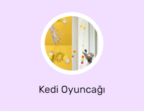 Kedi Oyuncağı