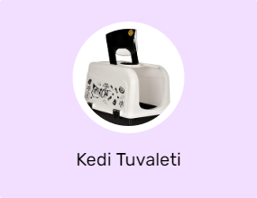 Kedi Tuvaleti