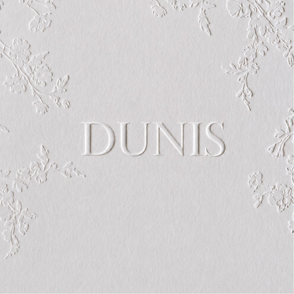 DUNİS