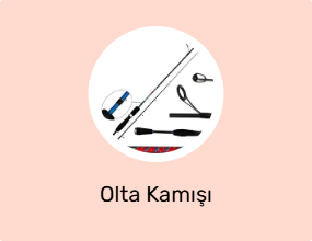 Olta Kamışı