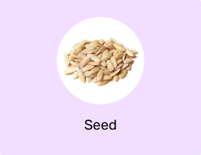 Seed