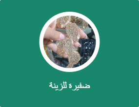 ضفيرة للزينة