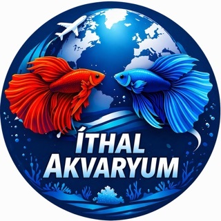 İthal Akvaryum