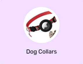 Dog Collars