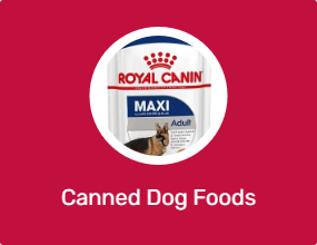 Canned Dog Foods
