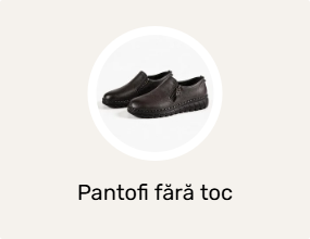 Pantofi fără toc