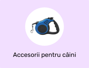 Accesorii pentru câini
