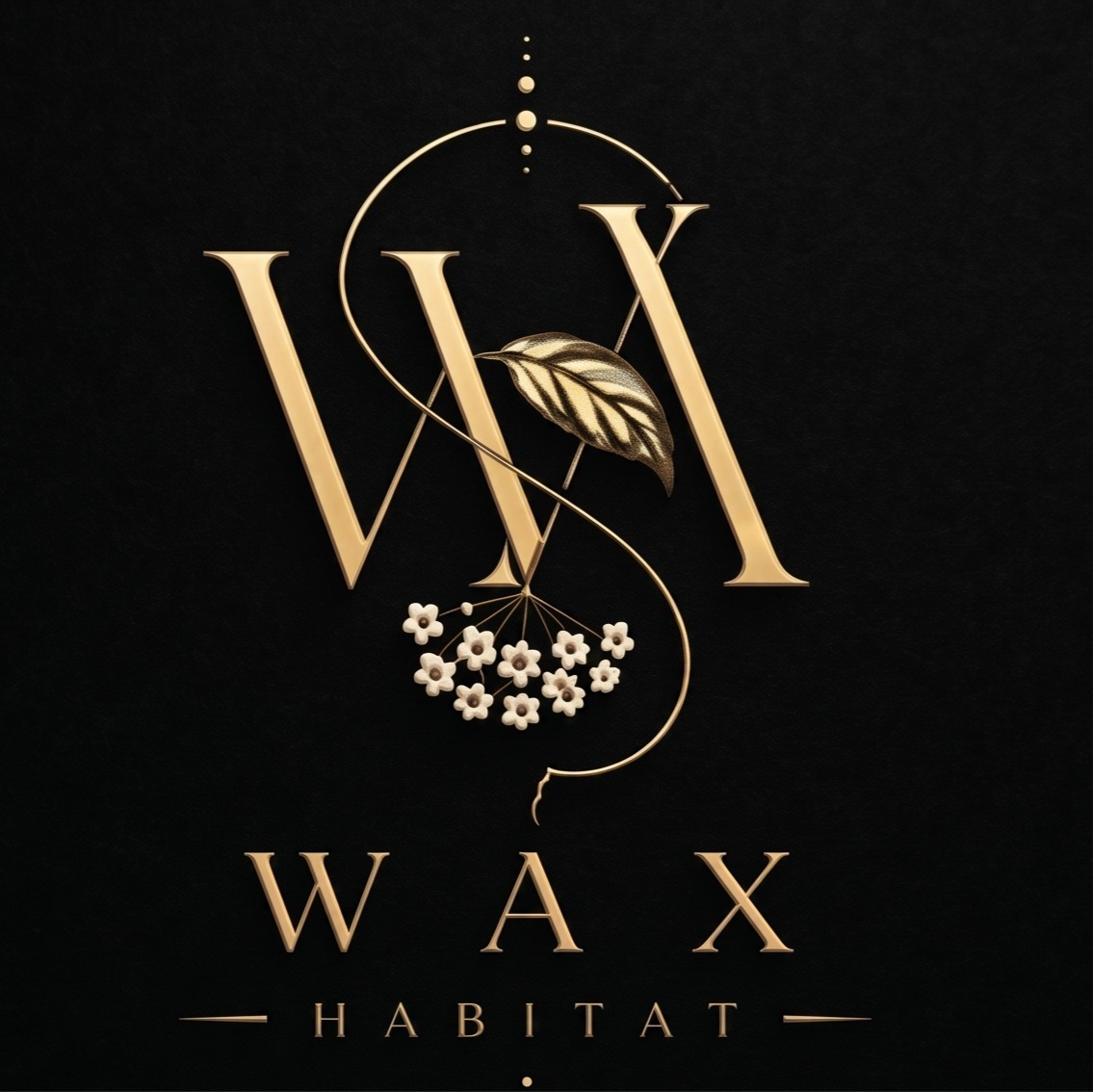 WAX HABİTAT