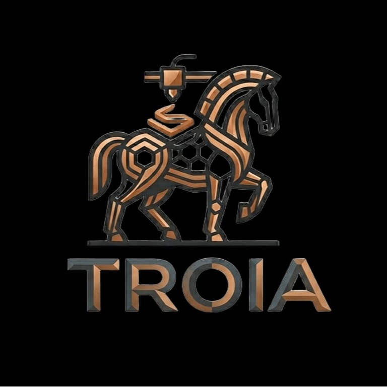 3D Troia Print