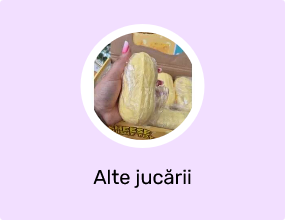 Alte jucării