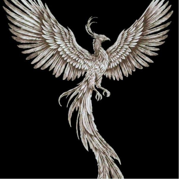 REMZ KOZMETİK