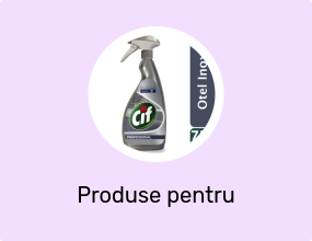 Solutie Pentru Otel Inox Professional 0.75 L