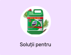 Detergent dezinfectant Professional Pine Fresh XXL Pack 5 litri
