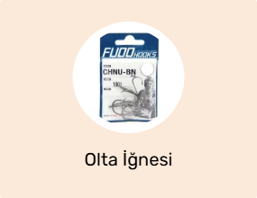 Olta İğnesi