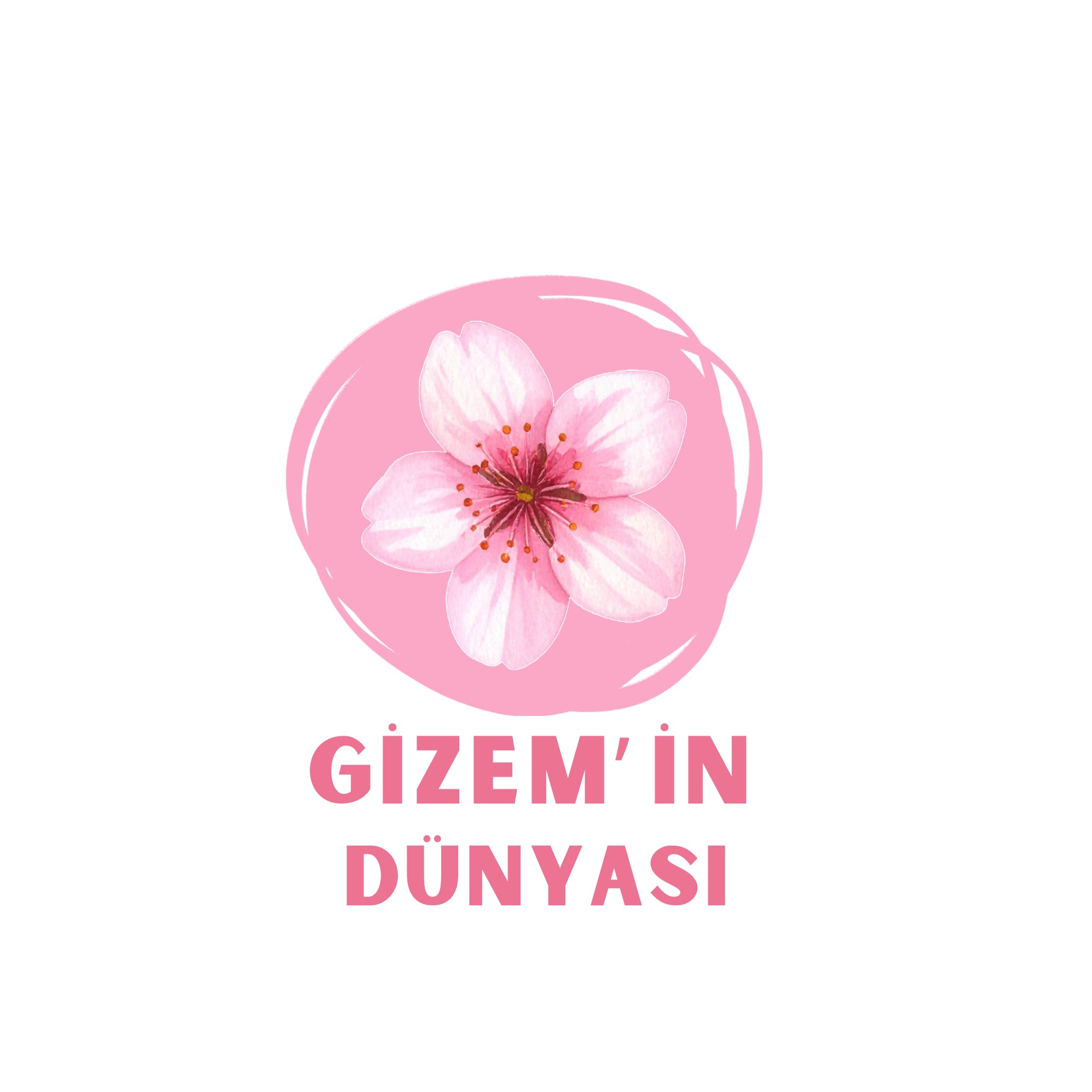 Gizemin Dünyası