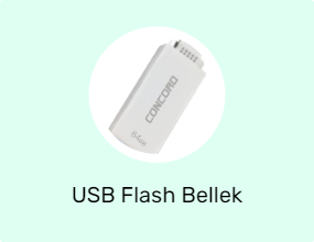 USB Flash Bellek
