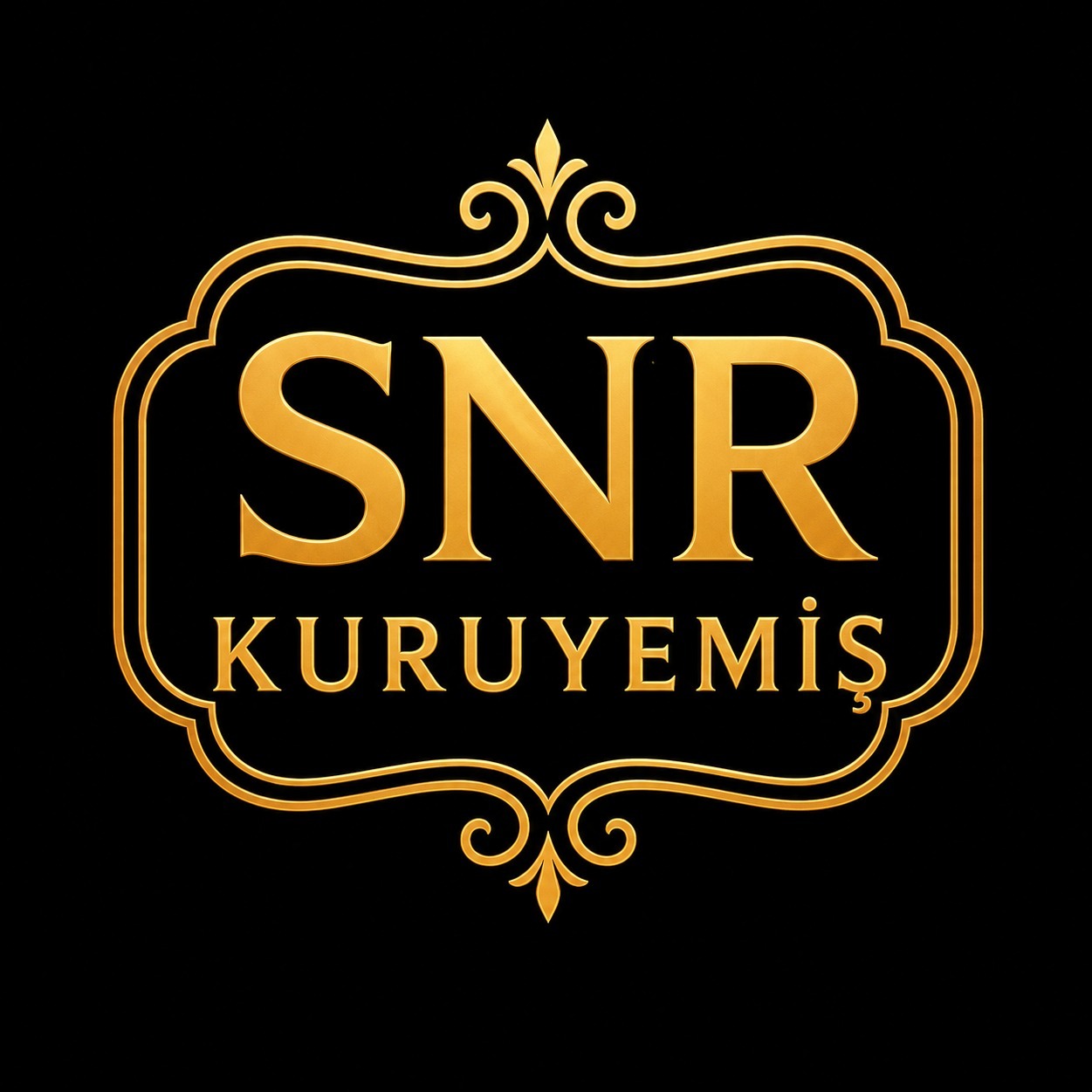 SONER KURUYEMİŞ