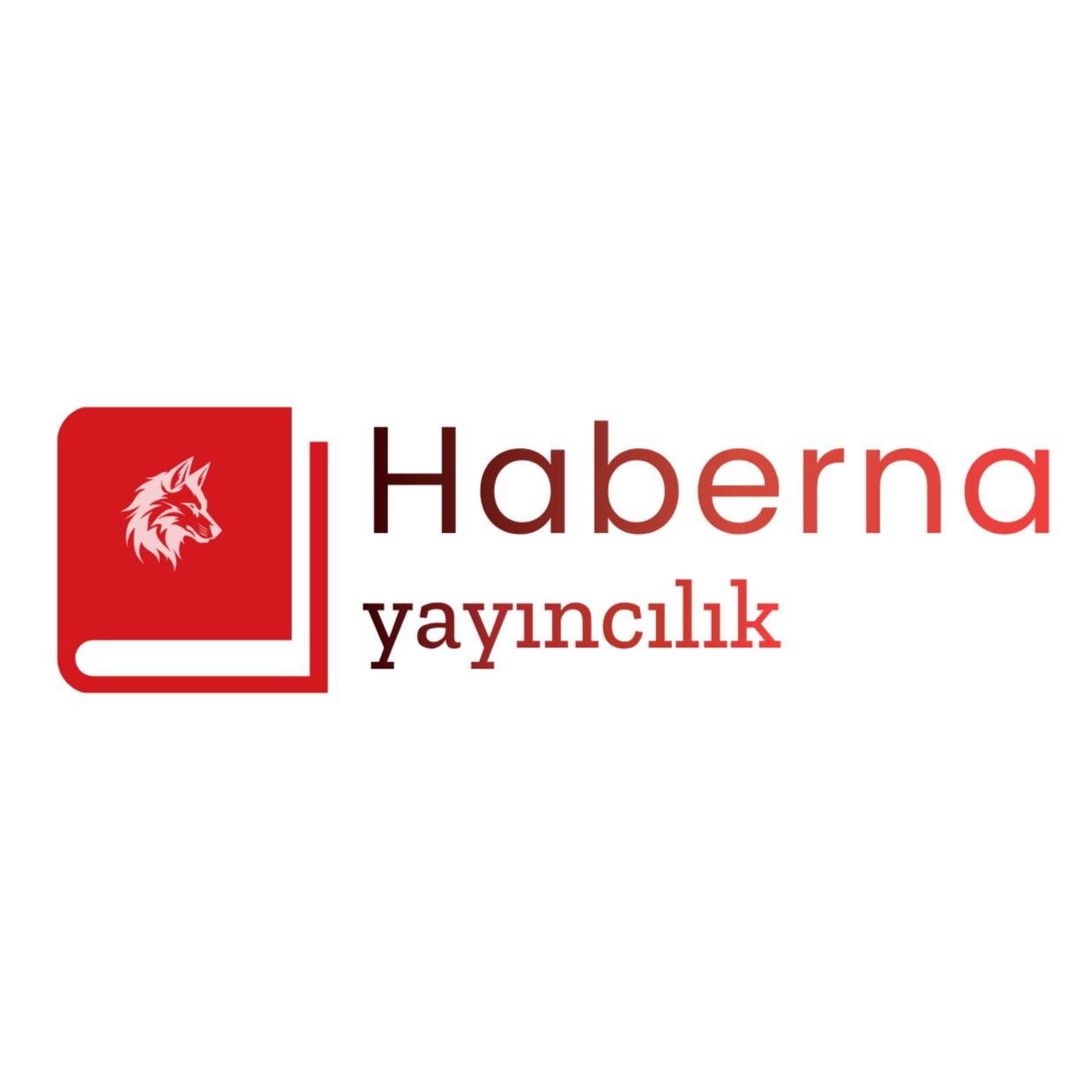 HABERNA  YAYINCILIK