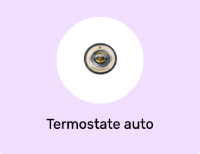Termostate auto