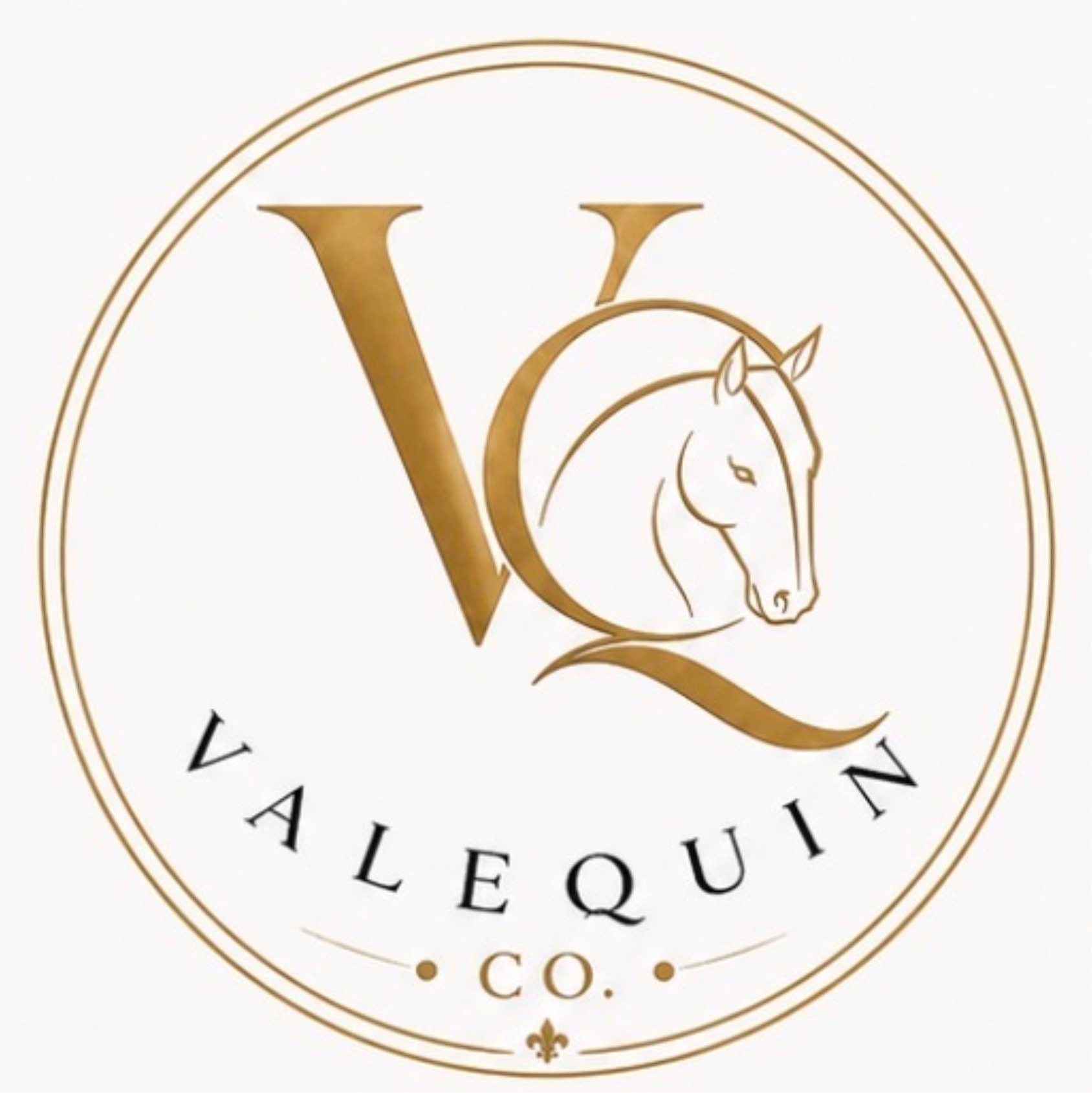 valequin logo
