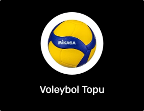 Voleybol Topu
